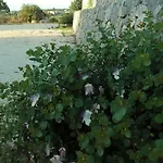 Сasa de vacaciones Il Trulletto Del Sognatore *