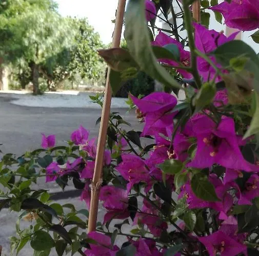 Il Trulletto Del Sognatore